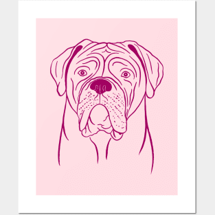 Dogue de Bordeaux (Pink and Berry) Posters and Art